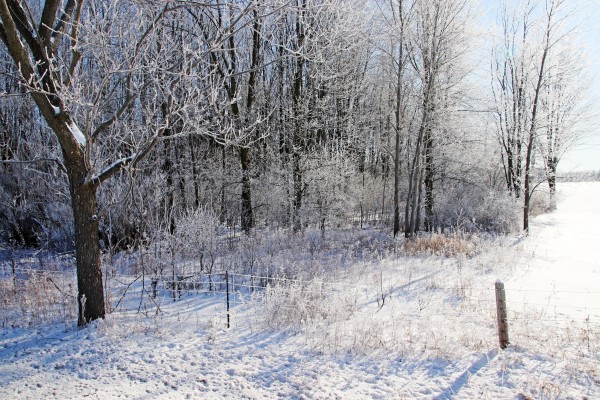 Frosty Winter Countryside by Deb Oppermann